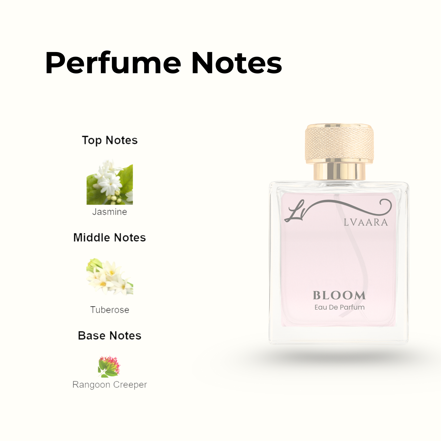 BLOOM | INSPIRED BY BLO*M BY G*CCI | EDP | FEMALE